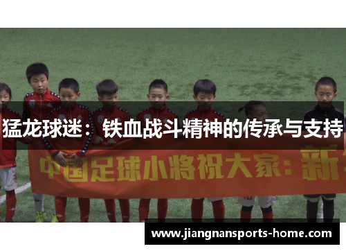 猛龙球迷：铁血战斗精神的传承与支持